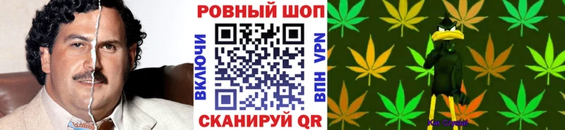 Что такое Сенгилей ГАШ Канабис СК Меф МЕТАМФЕТАМИН Cocaine