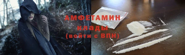 индика Переславль-Залесский