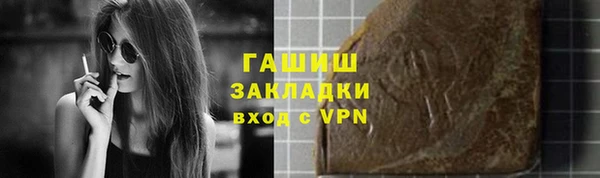 индика Переславль-Залесский