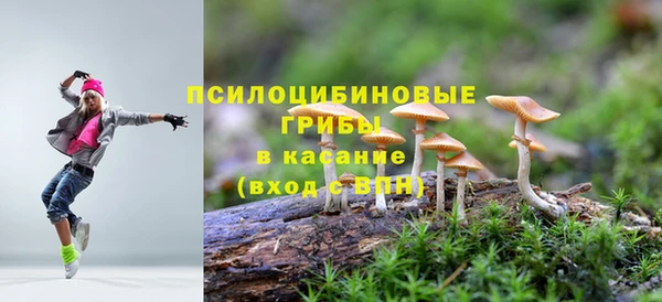 ГАЛЛЮЦИНОГЕННЫЕ ГРИБЫ Пересвет