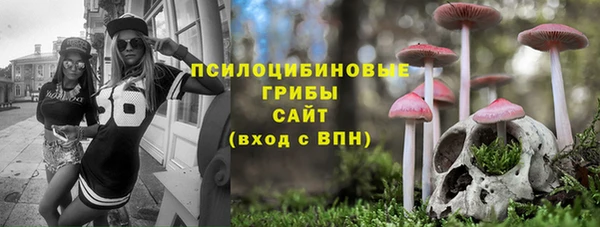 ГАЛЛЮЦИНОГЕННЫЕ ГРИБЫ Пересвет