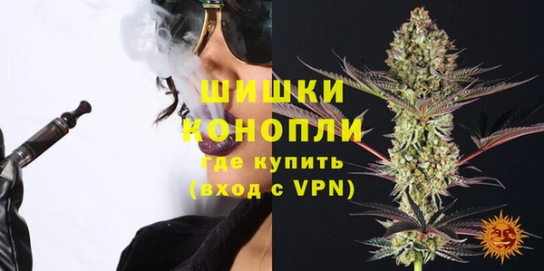 индика Переславль-Залесский