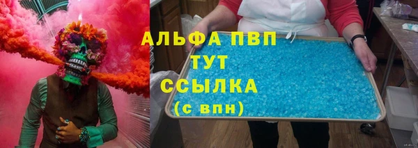 индика Переславль-Залесский