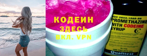индика Переславль-Залесский