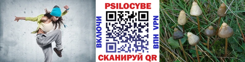 Псилоцибиновые грибы Magic Shrooms  даркнет сайт  Сенгилей 